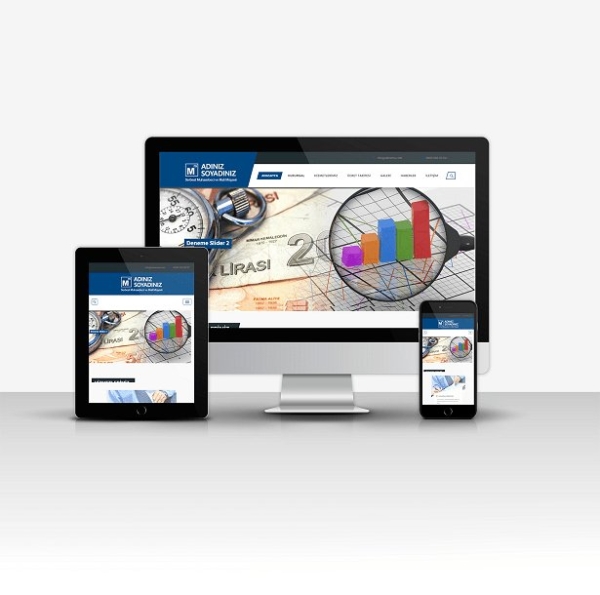 Serbest Muhasebeci ve Mali Müşavir Sitesi V1