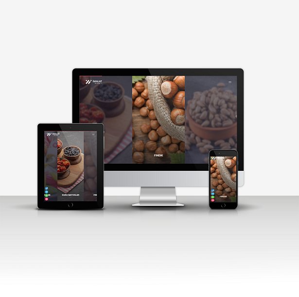 İmalat & Dış Ticaret Sitesi V2